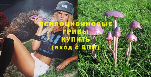 экстази Няндома