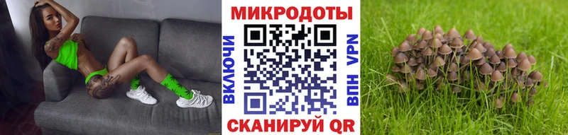 гидра tor Ростов-на-Дону Галлюциногенные грибы мухоморы