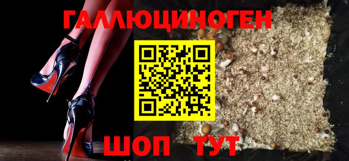 Галлюциногенные грибы мухоморы  Ростов-на-Дону  Псилоцибиновые грибы GOLDEN TEACHER 