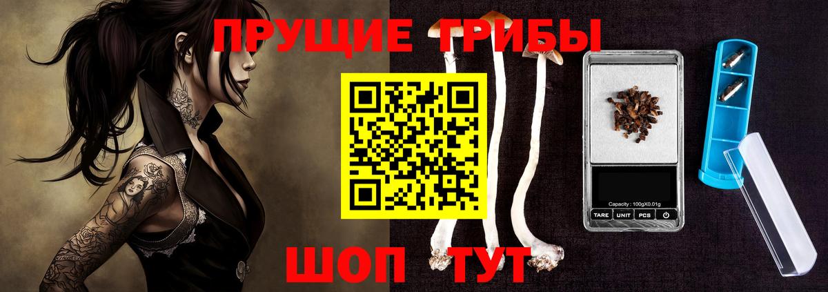 Псилоцибиновые грибы Cubensis Ростов-на-Дону