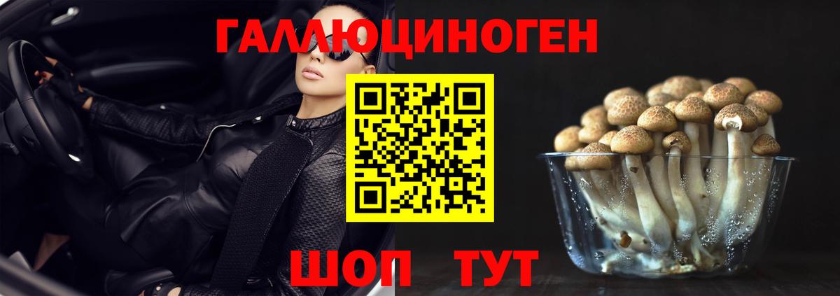 Ростов-на-Дону  Псилоцибиновые грибы мухоморы  Вход с VPN  Галлюциногенные грибы мицелий 